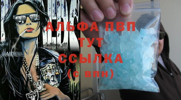 дмт Магас